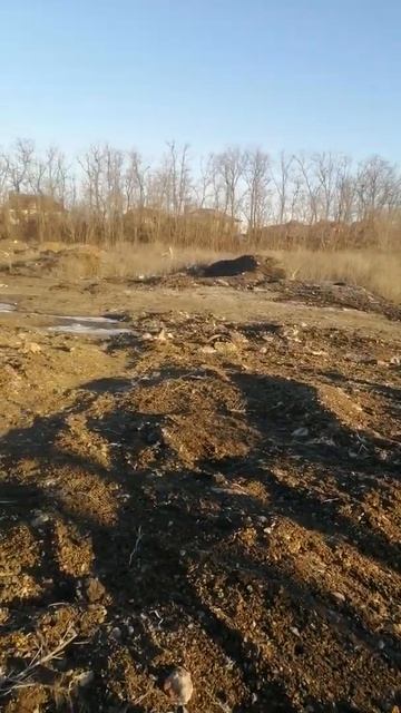 Мусорная свалка на участке Погодина Н.А.