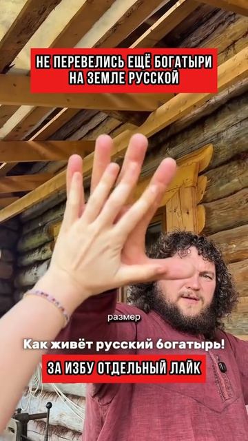 Не перевелись ещё богатыри на земли Русской за избу отдельный лайк
