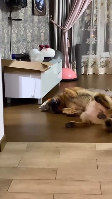 Неземной просто красавец😂🤪