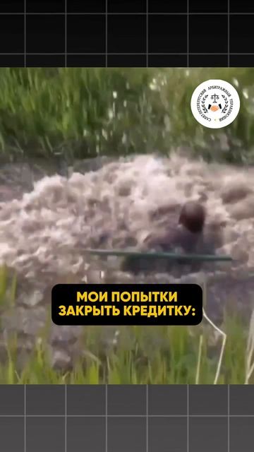 Что на самом деле мешает закрыть кредитку — и почему появляются новые?