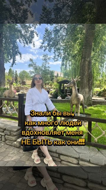 О жизни