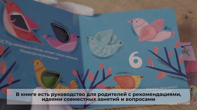 Учим цифры (Играем пальчиками: книжка-малышка для развития мелкой моторики)