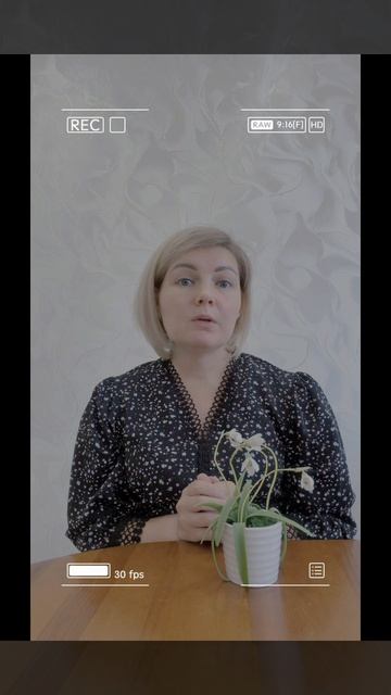 Уход за газоном в августе и сентябре.
