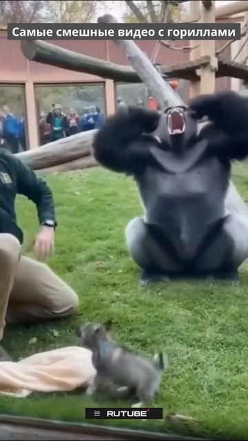 Хахаха