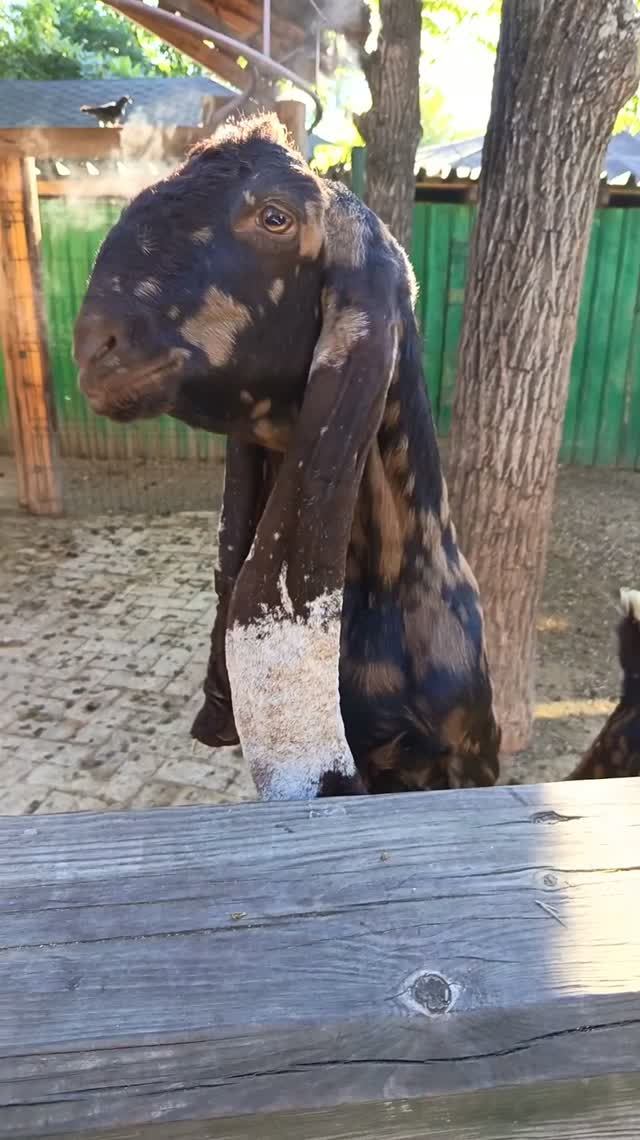 Улыбаемся 🙃 и 👋