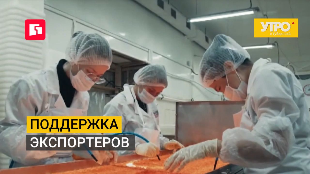 Поддержка экспортеров. Утро с Губернией. 25/08/2026. GuberniaTV
