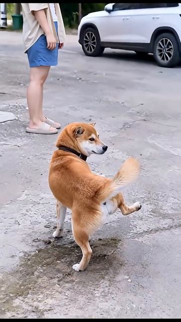 ЖЕСТЬ!!!!!!!