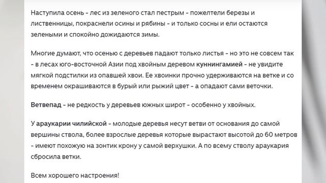 Ветвепад ?!.