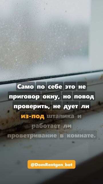 Конденсат и точки по низу окна #shorts