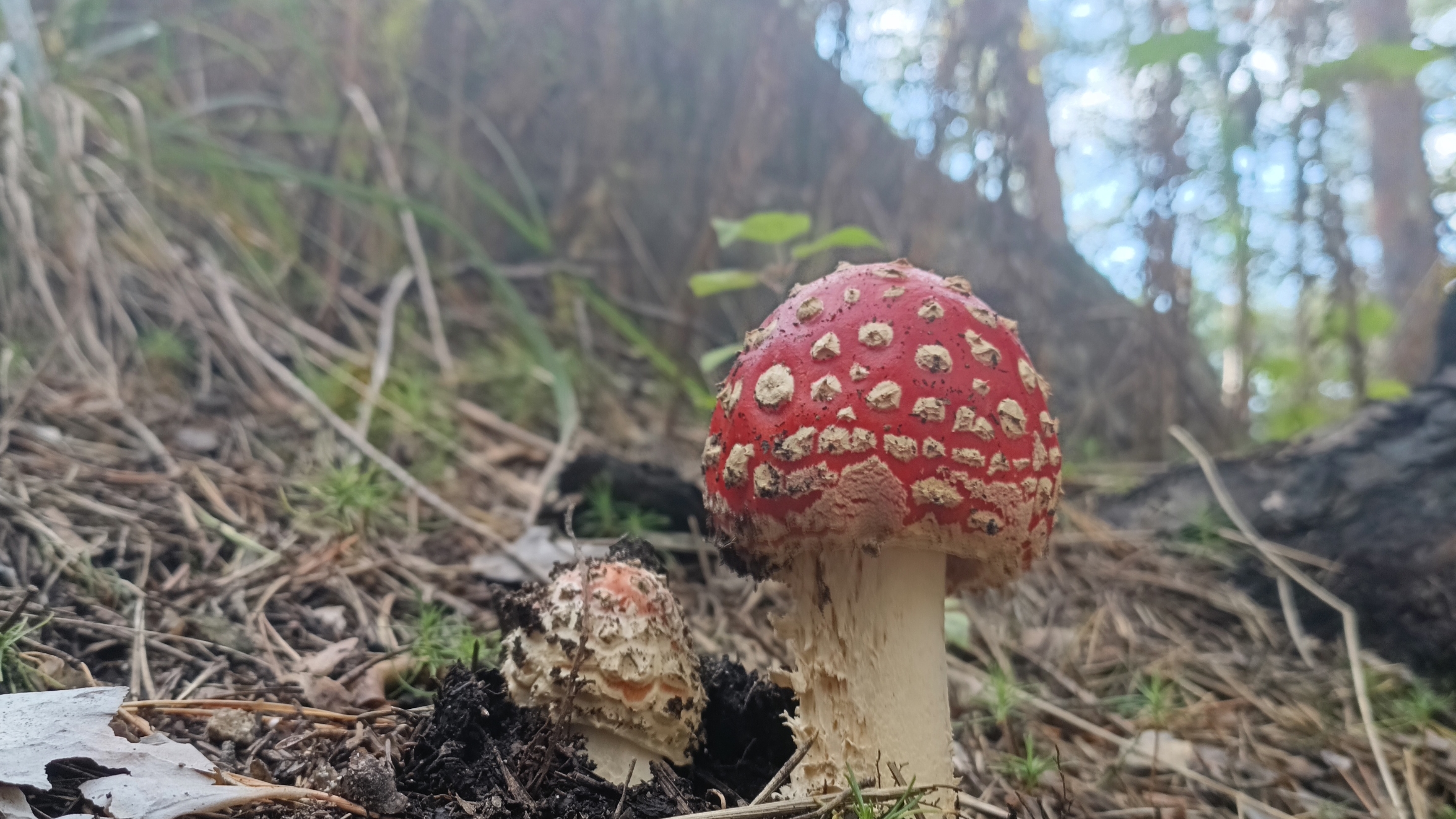 Бинго! Жаркое лето и немного яркой осени🤭🍂