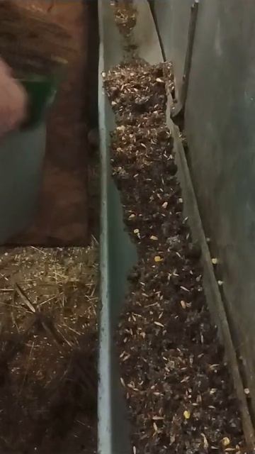 VID-20240217-WA0013