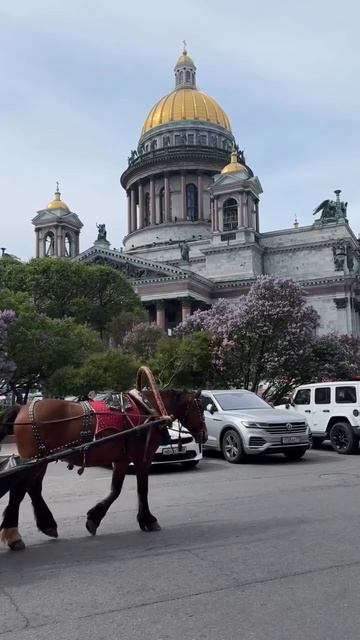 Санкт-Петербург - это город, который западает в душу и оставляет след в сердце! 