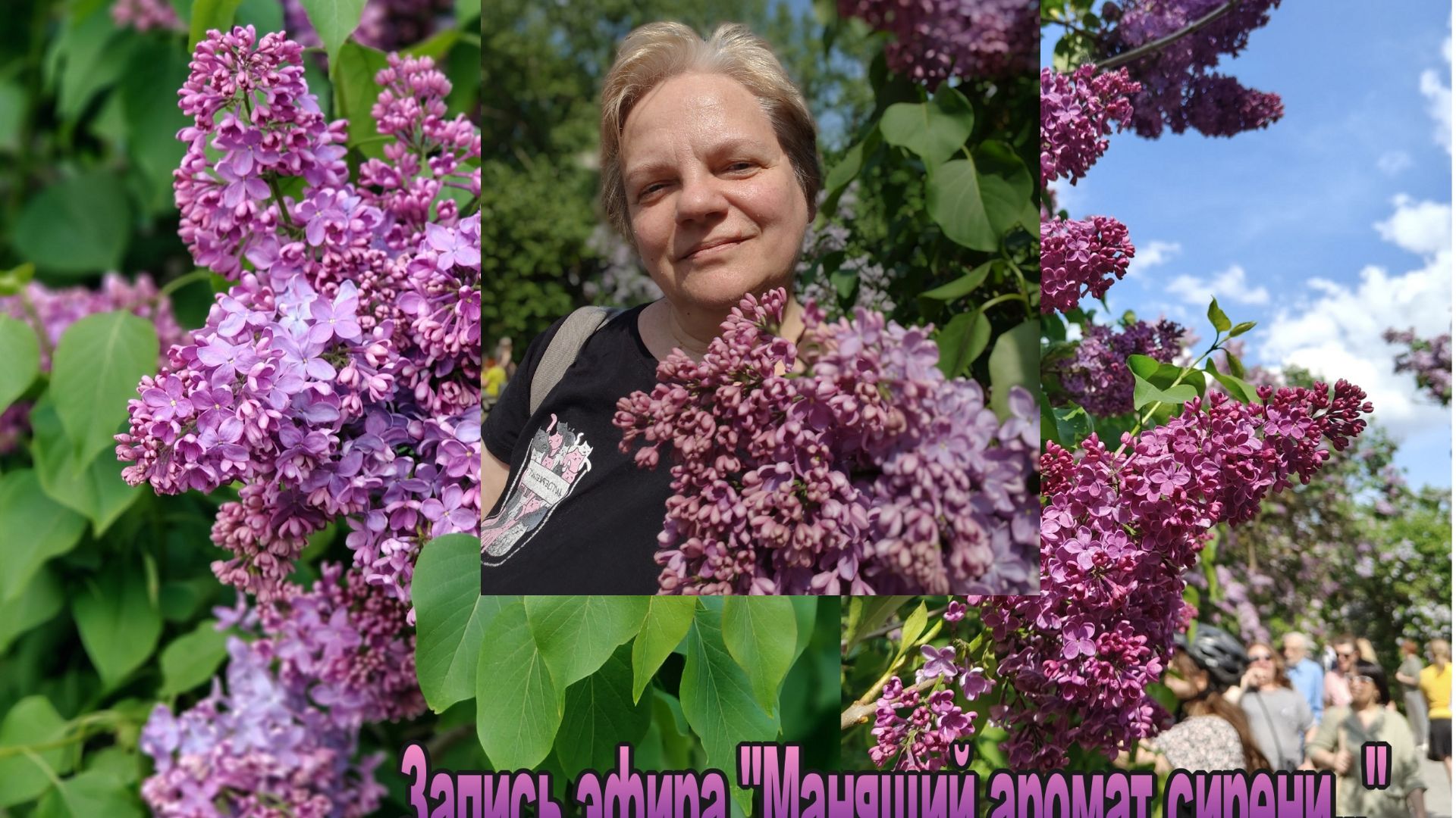 Сирень в литературе и культуре
