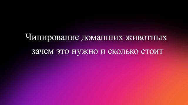 Чипирование домашних животных: зачем это нужно и сколько стоит