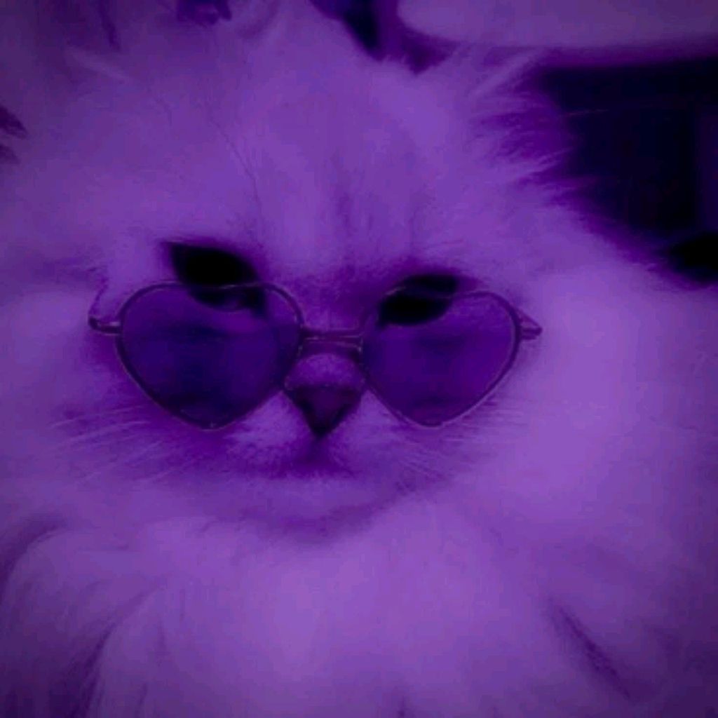 катя