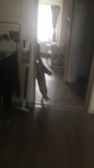 VID_20260826_091123.mp4