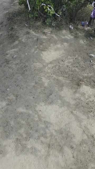 только босиком