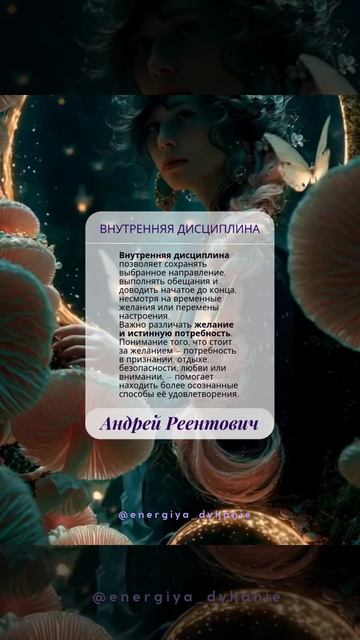 Солнечные рекомендации. Осознанность. Внутренняя дисциплина. | Андрей Реентович #shorts