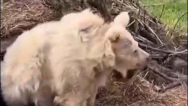 Это мы каждое утро.