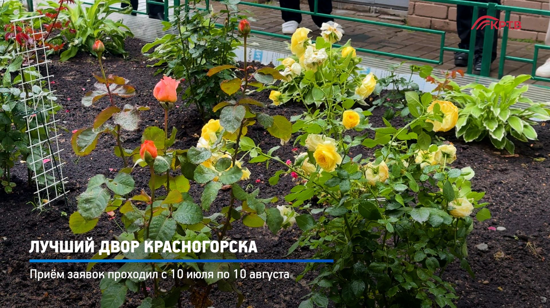 КРТВ. Лучший двор Красногорска
