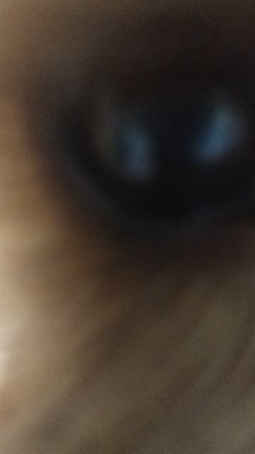 спидран по Tik Tok