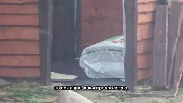 SUXQ7352_25.08.2026-Видео от Светланы