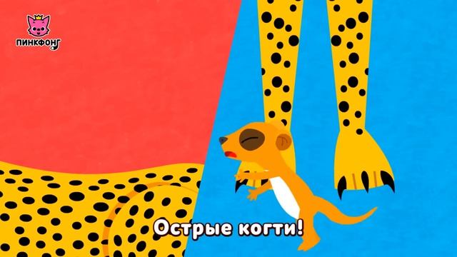 Гепард — Чита Бэнг Бэнг  | Песни про Животных | Пинкфонг Песни для Детей