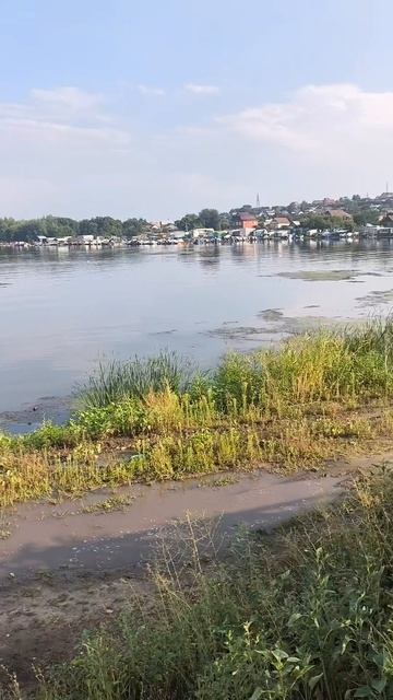 река Волга, проездом в Сызрани