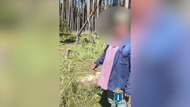 В ульяновском селе Поповка задержали «черного лесоруба»