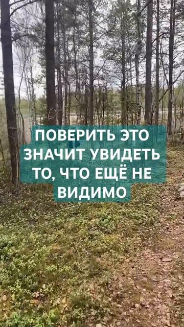 ПОВЕРИТЬ ЭТО...