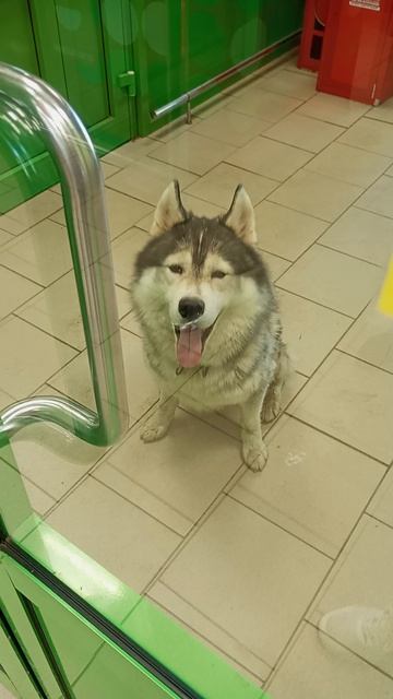 Купи косточку я тут посижу 🤣
