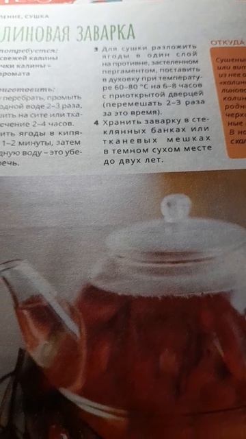 Калиновая заварка