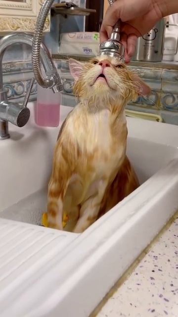 Вечерний релакс