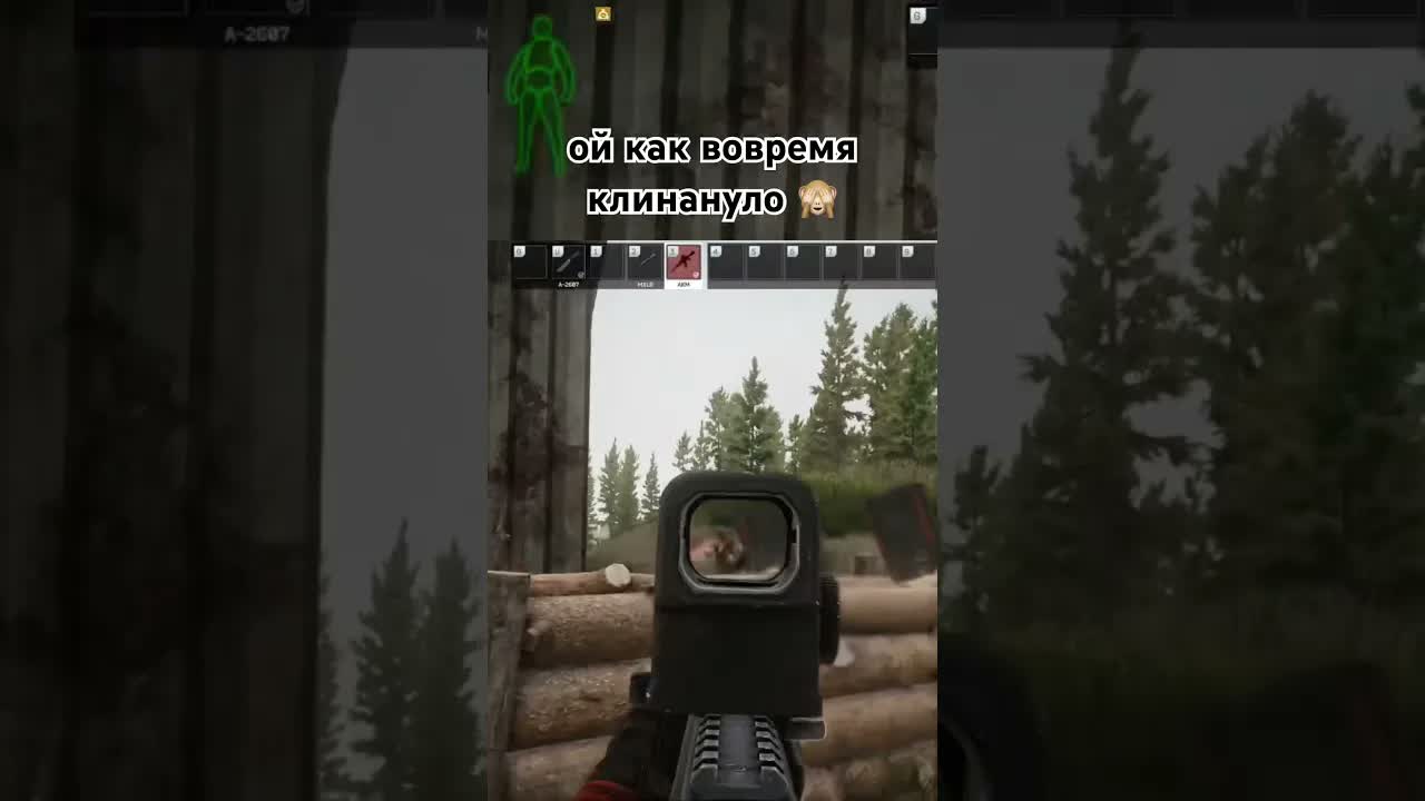 клин акм #eft #тарков #escapefromtarkov #tarkov