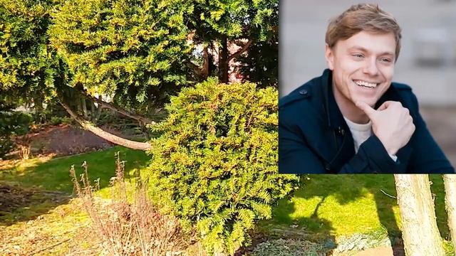 Начать сначала 1-4 СЕРИЯ сериал 2024. Домашний. Анонс и дата выхода