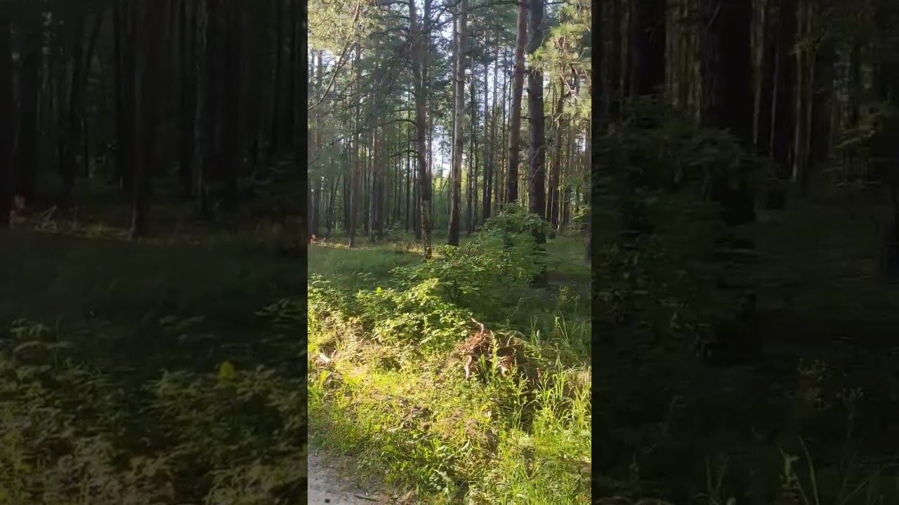 23.08.2026