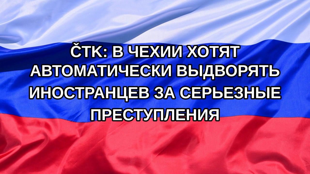 Н. РФ ČTK: в Чехии хотят автоматически выдворять иностранцев за серьезные преступления
