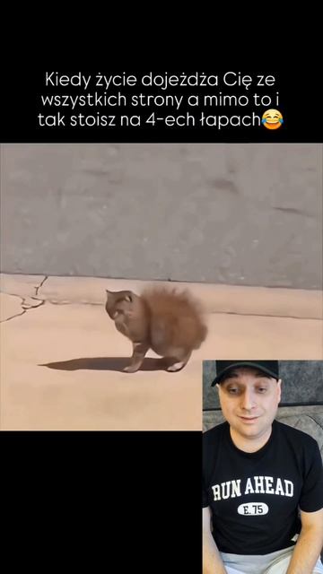 Последняя жизнь кота потрачена;)