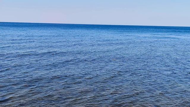 Анапа 26.08.2026 про Дельфинов