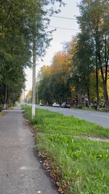 Вечерний променад по любимой улице города