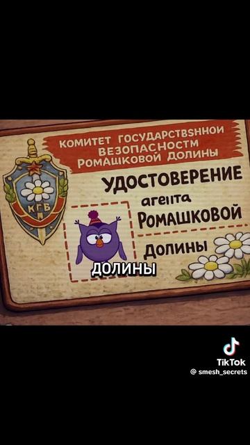 как попала совунья?
