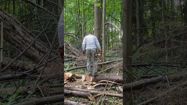 16.08.26 ПОРУБАС (11)