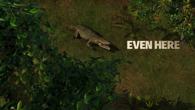 Transport Fever 3 - Release Date Announcement Trailer
