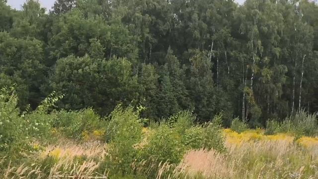 г. Лобня ул. Горки Киовские