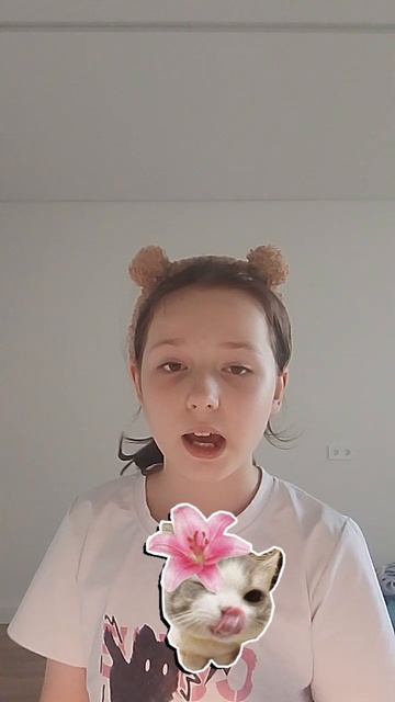 Факты об котиках