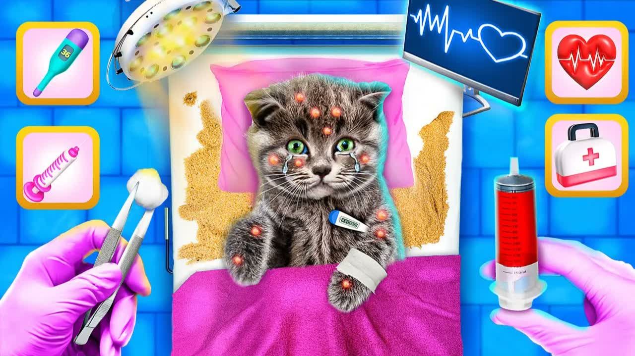Мы нашли бездомного котенка в песке! Лайфхаки для владельцев животных