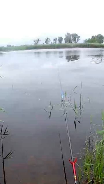 Вот так вот а нет просто