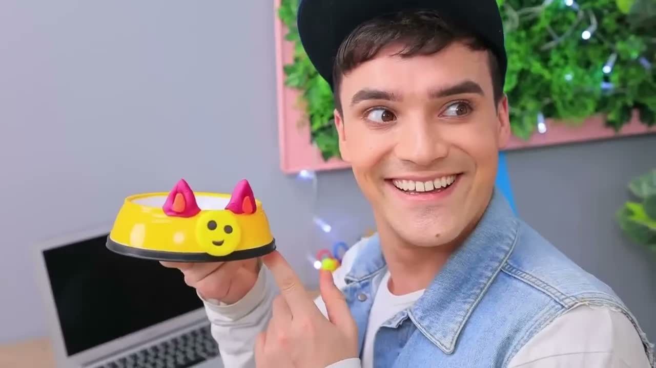 Лайфхаки и гаджеты для животных!