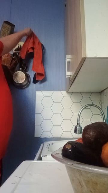 8294.mp4