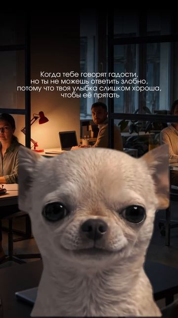 Улыбайтесь чаще с красивой улыбкой от НЕБОЛИТ